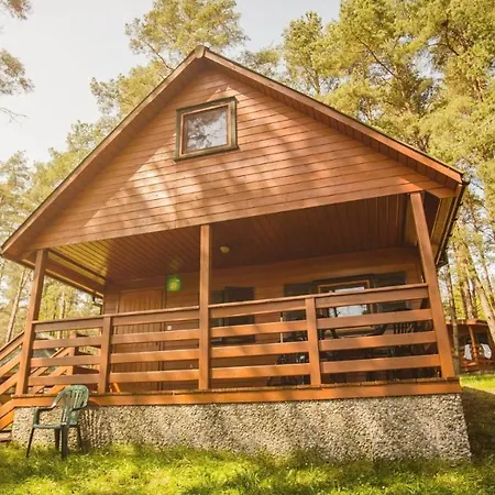 Zawiaty Rodzinne Z Animacjami Dla Dzieci * Czarna Dabrowka