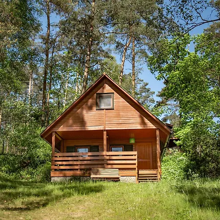 Zawiaty Rodzinne Z Animacjami Dla Dzieci