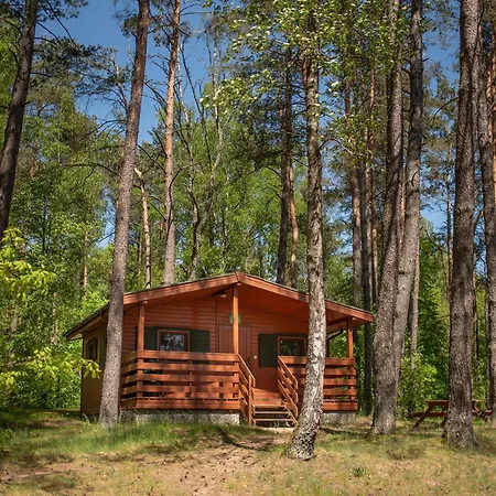 Zawiaty Rodzinne Z Animacjami Dla Dzieci *