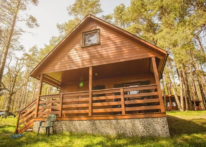 Zawiaty Rodzinne Z Animacjami Dla Dzieci * Czarna Dabrowka