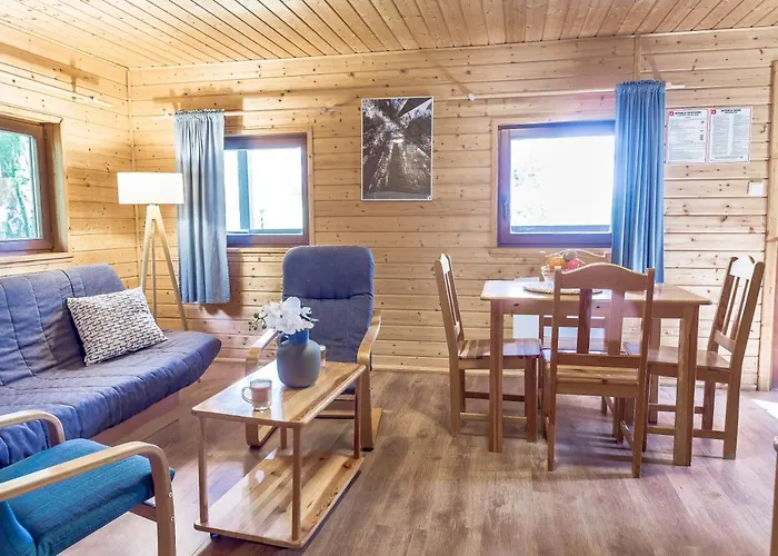 Zawiaty Rodzinne Z Animacjami Dla Dzieci * Czarna Dabrowka