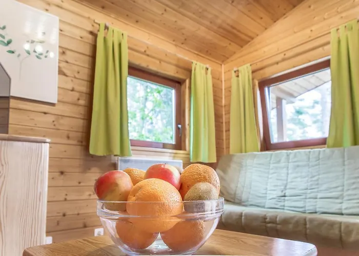 Zawiaty Rodzinne Z Animacjami Dla Dzieci Czarna Dabrowka