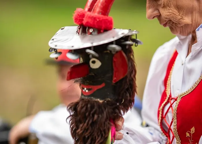 Zawiaty Rodzinne Z Animacjami Dla Dzieci Czarna Dabrowka