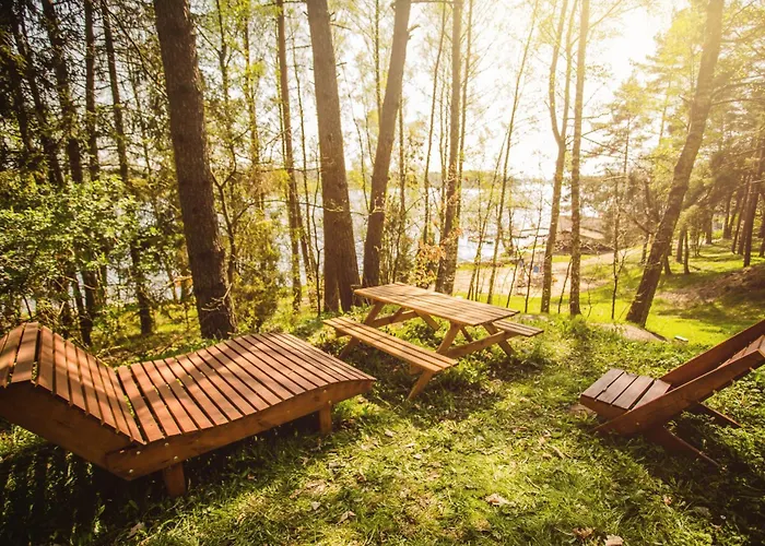 Zawiaty Rodzinne Z Animacjami Dla Dzieci * Czarna Dabrowka